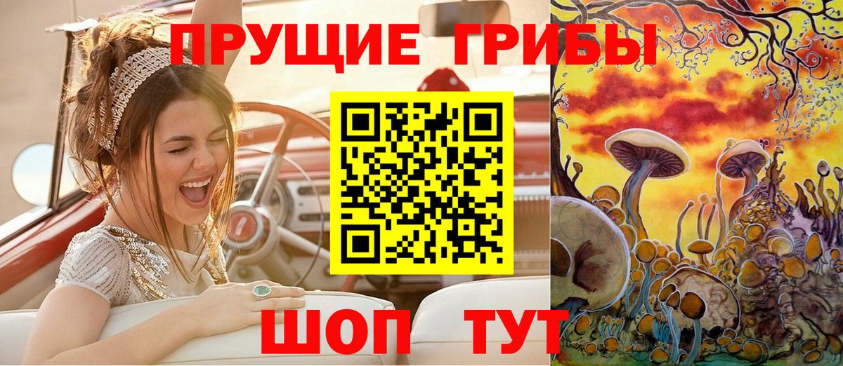 Калининград  Галлюциногенные грибы Psilocybine cubensis  Вход с VPN 